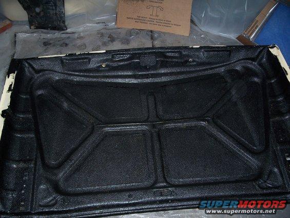 100_0286.jpg Inside of the hood