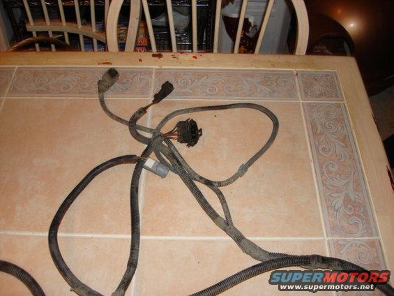 dsc00061.jpg this is the fuel tank connection and the rear anti lock brake sendsor (VSS)