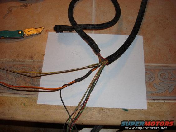 dsc00069.jpg This is the fuel ground tap.