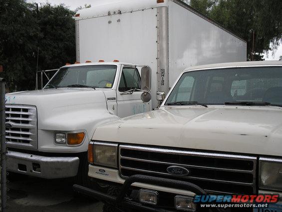 White box truck next to a white Ford pickup truck. The pickup has a brush guard