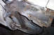 1968 Ford Mustang - Close-up of a severely rusted car frame section, indicating significant structural decay.