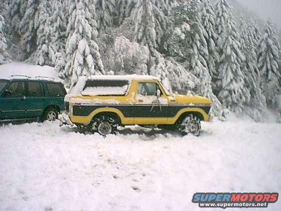 Yellow and black Ford Bronco parked in deep snow with a green SUV to its left, snow-covered trees in background