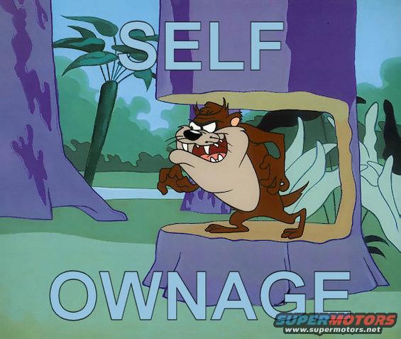 tazselfownedif7.jpg 