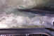 1968 Ford Mustang - Detail of a car's frame, showing areas of rust and previous repairs.