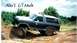 1981 Ford Bronco