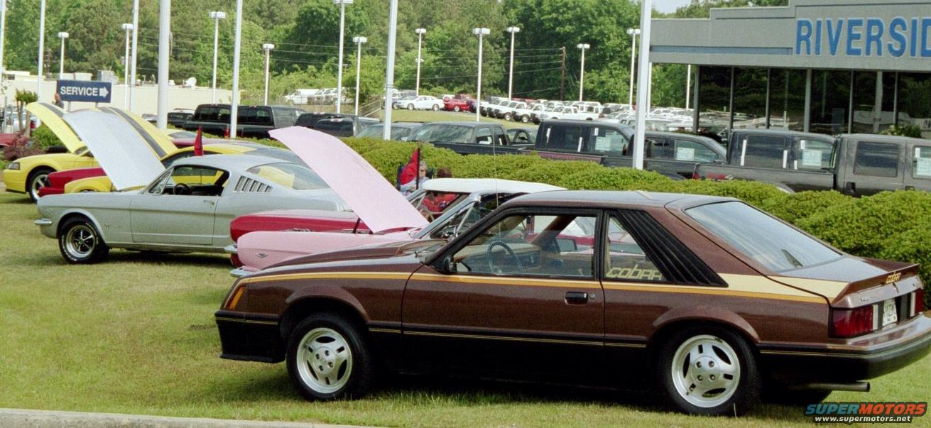 1980 Ford Mustang “Cookie”