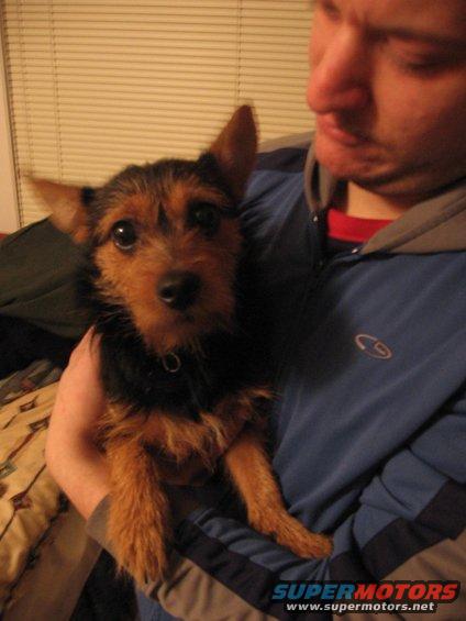 closeup of Tobi with Colin
Jan. '07