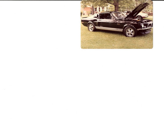 early-shelby.jpg 