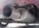 1995 Ford Probe - Close-up view of a car's exhaust system, showing the muffler and tailpipe emitting smoke.