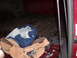 1991 Ford Bronco - Tools and a blanket are stored in the bed of a red vehicle.