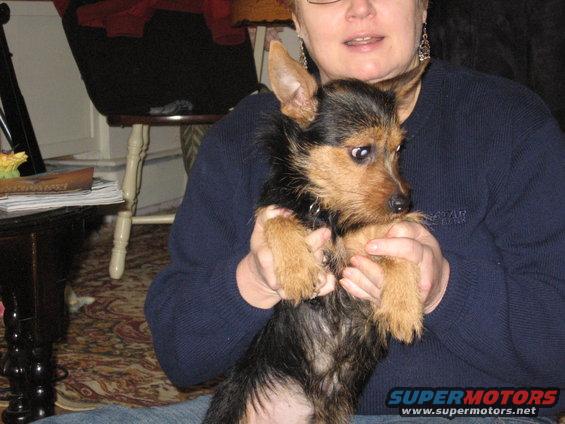 tobi-003.jpg pic of Tobi with Mom
Jan. '07