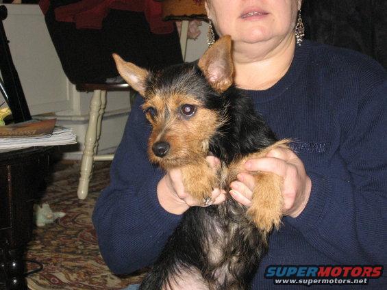 pic of Tobi with Mom 2
Jan. '07