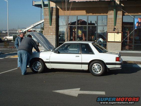 white 1987 Ford Mustang coupe with hood open, two men looking at engine