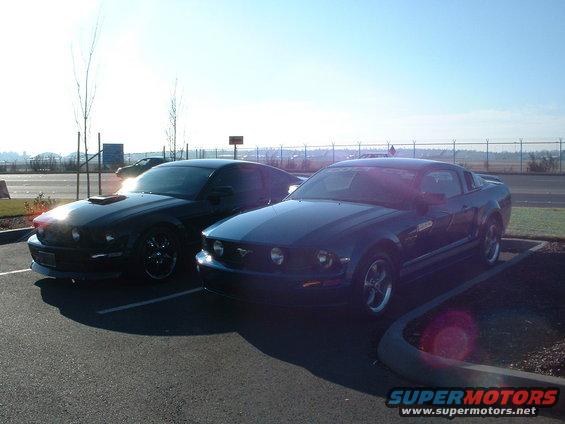 Dark blue Ford Mustang with racing stripes, parked next to a black Mustang