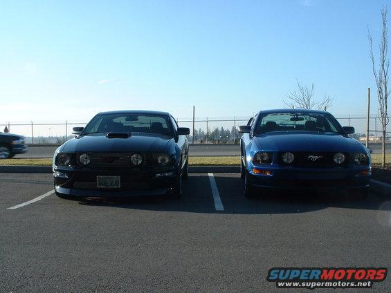 Two Ford Mustangs parked side-by-side in a parking lot under a clear blue sky