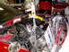 P1010076.JPG
