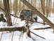 1979 Ford Bronco - Off-road vehicle navigating difficult terrain in a snowy forest.