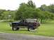 1994 Ford Bronco - A black and tan Ford Bronco is parked on a grassy field with trees in the background.