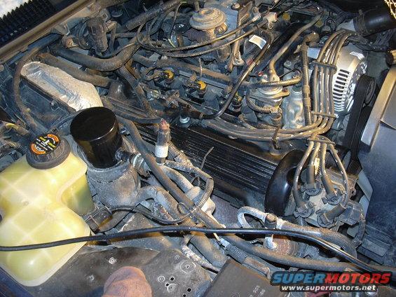Engine bay of a 1996 Ford Crown Victoria