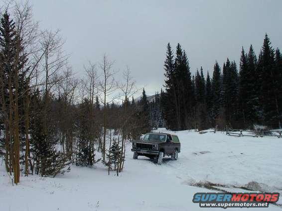 Dark SUV parked in a snowy wooded area with pine trees in the background