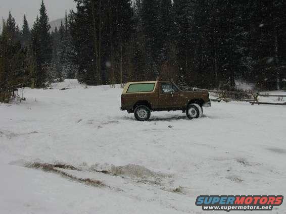 1980 Ford Bronco parked in snow with pine trees in background