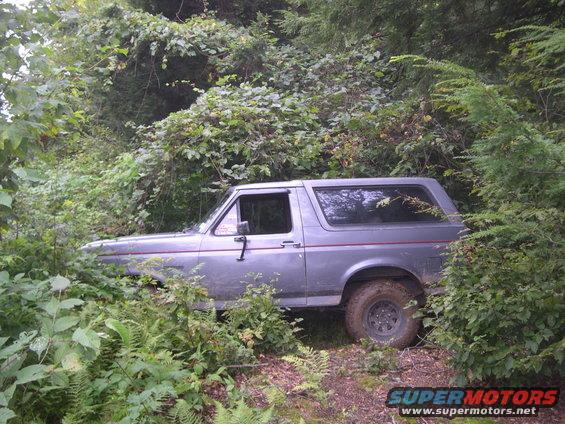 1989 Ford Bronco parked off-road, partially obscured by foliage