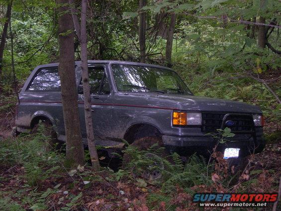 Gray Ford Bronco parked in woods, front right tire sunk in mud