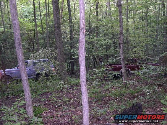 Gray SUV and red pickup truck parked in a wooded area