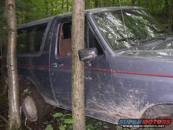 Muddy 1989 Ford Bronco stuck between trees in woods