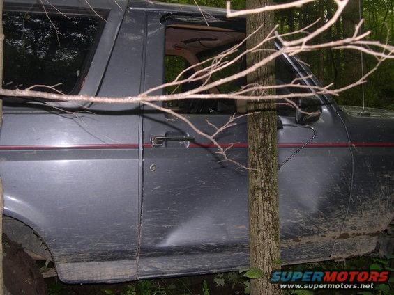 Gray Ford Bronco with red stripe, dented side panel, parked in woods