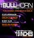 1998 Ford Taurus - The Bullhorn newsletter cover discusses car wheel and brake upgrades, 19-inch wheels.