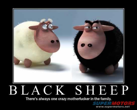 Cartoon sheep, one white, one black, with text 'BLACK SHEEP'