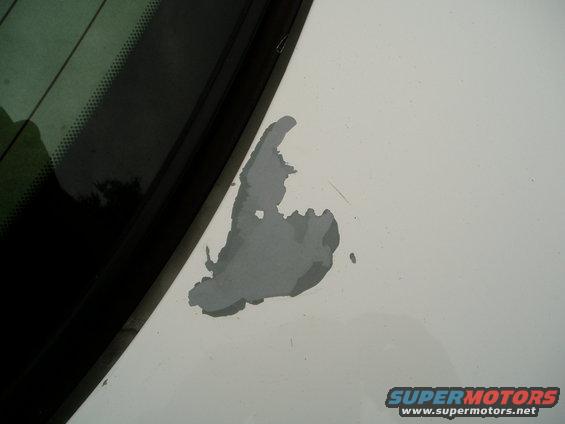 alex-p71-005.jpg paint issue on trunk from antenna