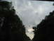 1995 Ford C-350 (Centurion Conversions) - A view from inside a vehicle shows a road ahead bordered by trees under a cloudy sky.