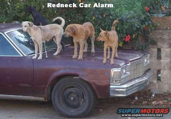 rednalar.jpg i already have 2, i wonder if 3 are really needed...