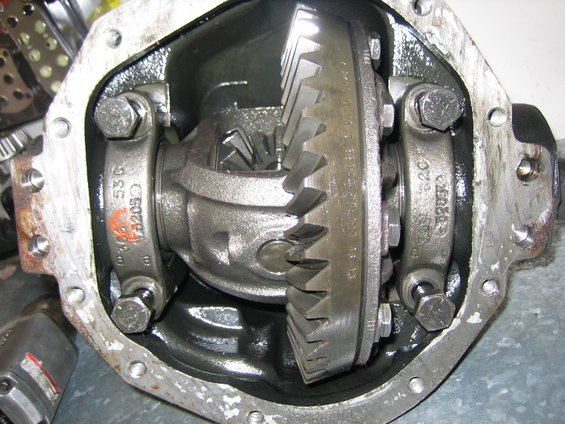 Differential gear assembly with visible teeth and bolts