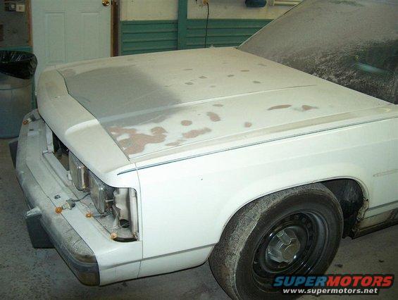 hpim3501-(large).jpg Hood