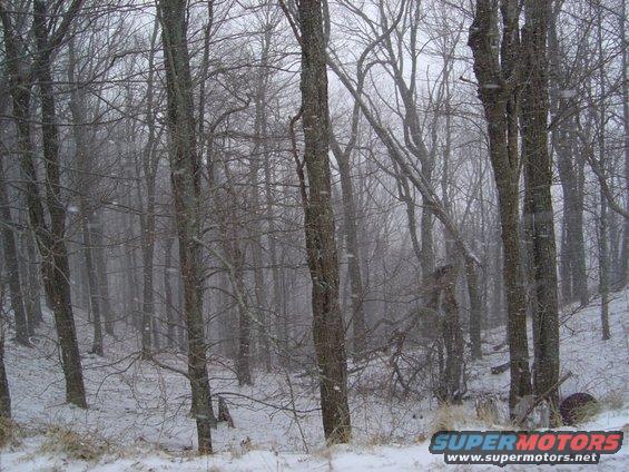 snow.jpg 