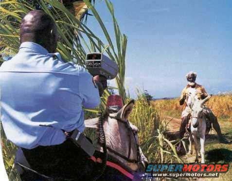 Man in blue shirt aims radar gun at a donkey ridden by another man in a field