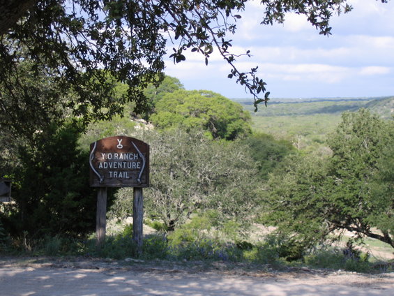yo92906_213.jpg 