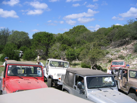 Several Jeeps parked in a wooded area with a blue sky