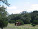 1996 Ford Bronco - A longhorn steer stands in a field of bluebonnets with a wooded area in the background under a partly cloudy sky.