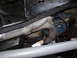 1991 Ford Bronco - Underside view of a vehicle's exhaust system and frame components.
