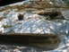 1996 Ford Bronco - A natural rock formation with openings that resemble small caves or shelters.