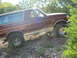 1996 Ford Bronco - 1996 Ford Bronco navigating an off-road trail with a driver visible.