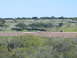 1996 Ford Bronco - A wide view of a natural landscape with scattered trees and small buildings under a clear sky.