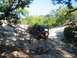 1996 Ford Bronco - A red Jeep Wrangler navigates a challenging off-road path surrounded by trees and rocky terrain.
