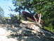 1996 Ford Bronco - This 1996 Ford Bronco navigates a steep, rocky terrain, with trees surrounding the vehicle.