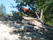 1996 Ford Bronco - Off-road vehicle becomes entangled in trees on a steep, rocky terrain.