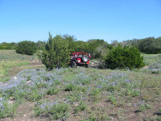 Red Jeep Wrangler with spare tire on rear, parked in a field with purple wildflowers and green trees under a clear blue sky